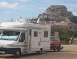 Morella